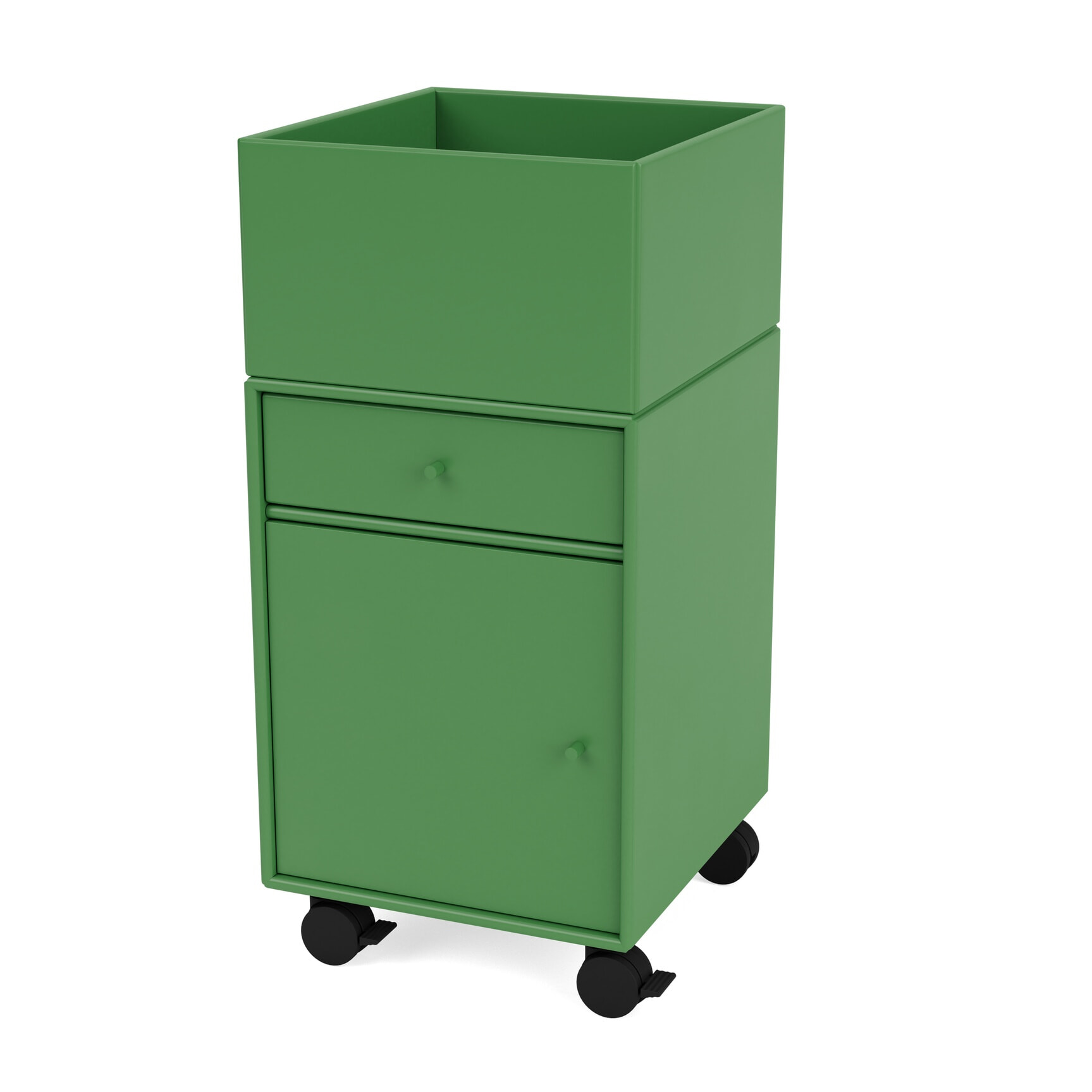 Montana Selection - Runner